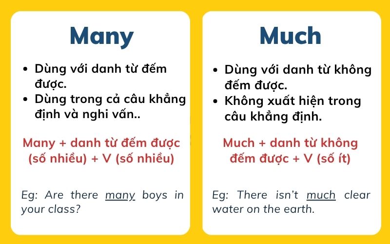 Cách dùng của lượng từ Much và Many