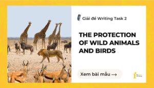 Giải đề IELTS Writing Task 2: The protection of wild animals and birds