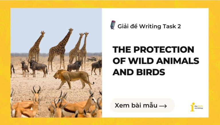 Some people think that too much attention and too many resources are given to the protection of wild animals and birds. Do you agree or disagree?