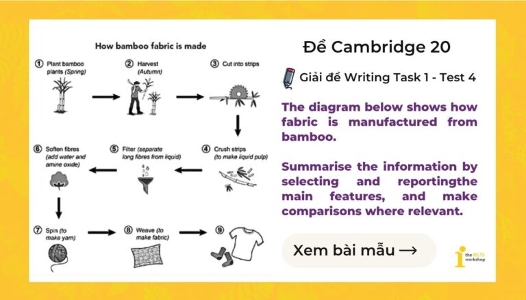 The diagram below shows how fabric is manufactured from bamboo. Summarise the information by selecting and reportingthe main features, and make comparisons where relevant.