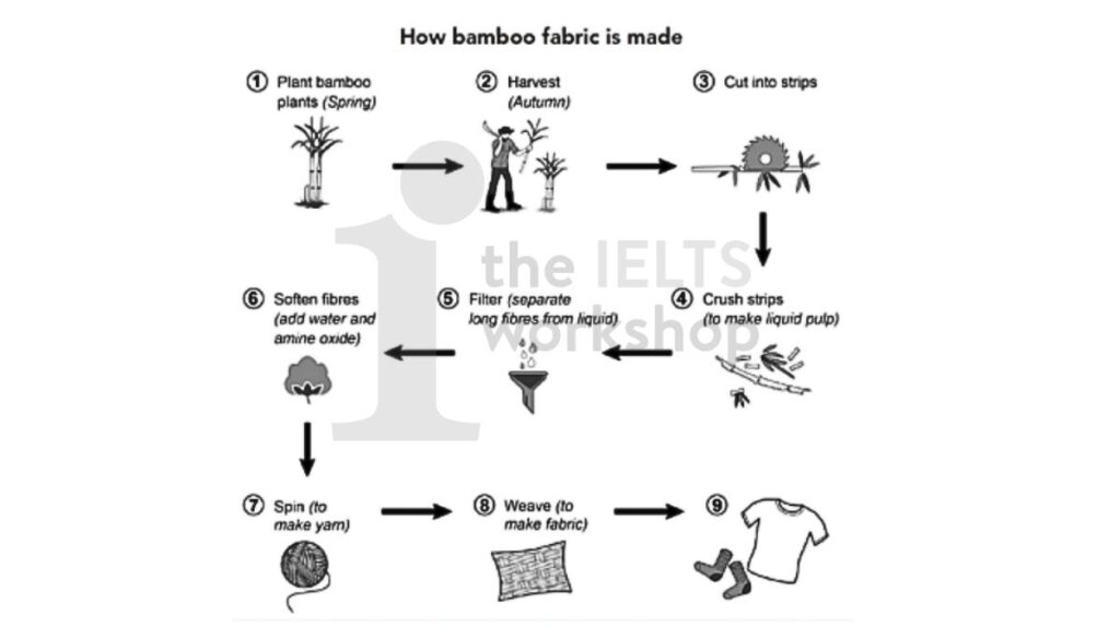 The diagram below shows how fabric is manufactured from bamboo. Summarise the information by selecting and reportingthe main features, and make comparisons where relevant.