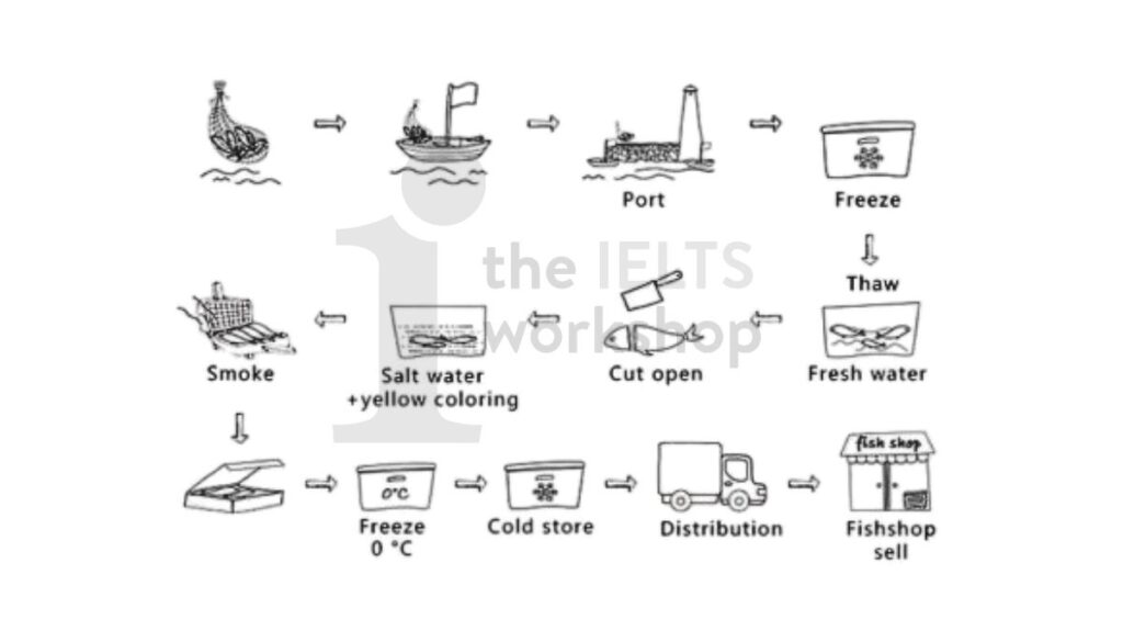 The diagram details the process of making smoked fish. Summarise the information by selecting and reporting the main features.