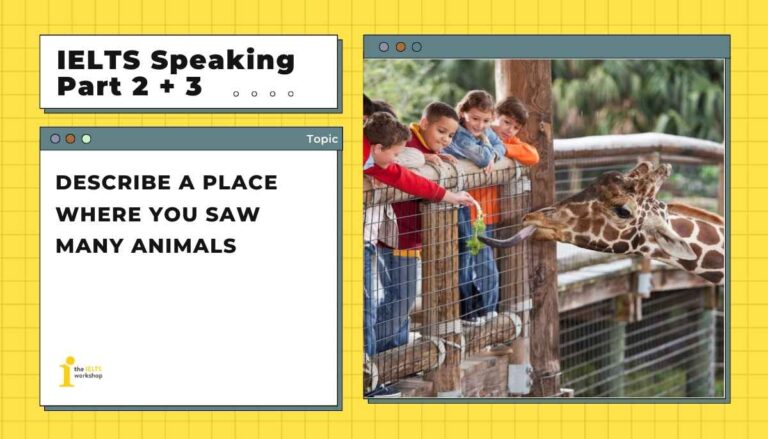 Describe a place where you saw many animals