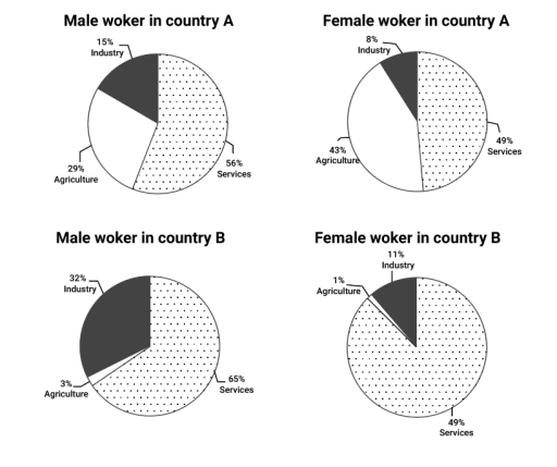 the percentage of male and female workers in country A and country B