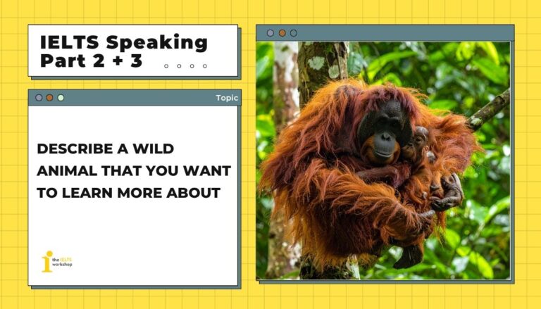 Describe a wild animal that you want to learn more about