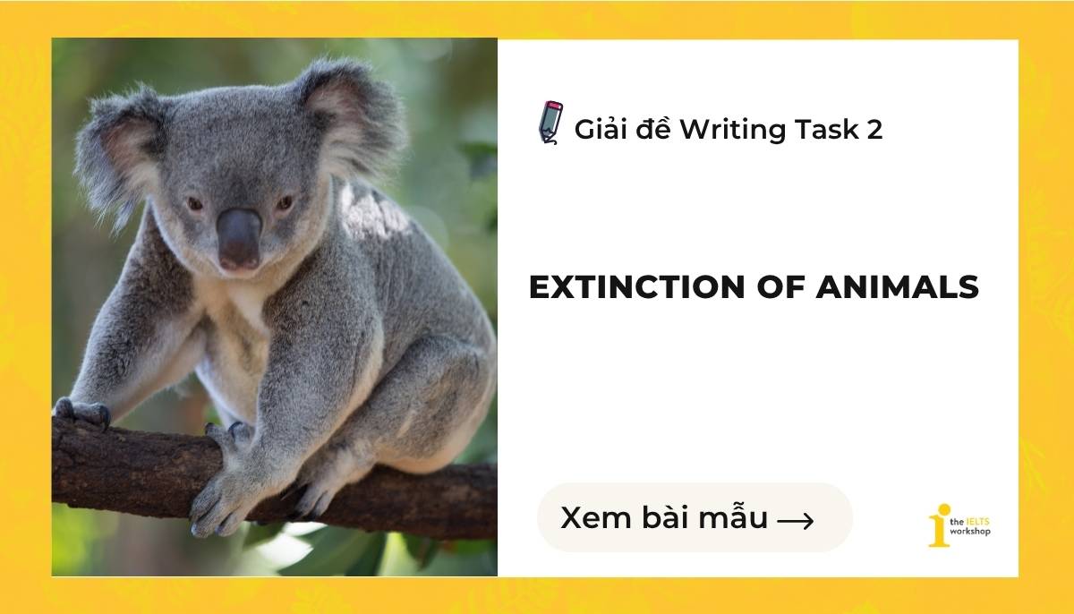 Giải đề IELTS Writing Task 2: Reasons for the extinction of animals