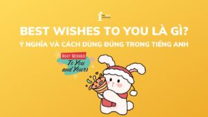 Best wishes to you là gì? Ý nghĩa và cách dùng đúng trong tiếng Anh