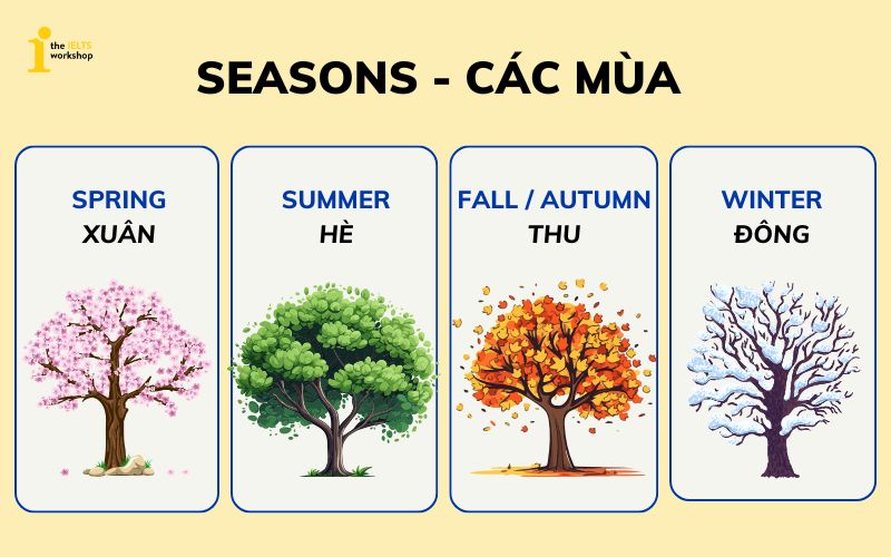 Từ vựng về các mùa trong năm