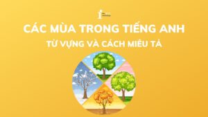 Các mùa trong tiếng Anh: Từ vựng, cách miêu tả về 4 mùa