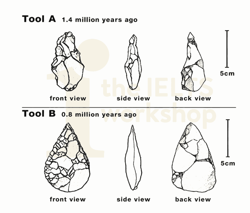 the development of cutting tools in the Stone Age