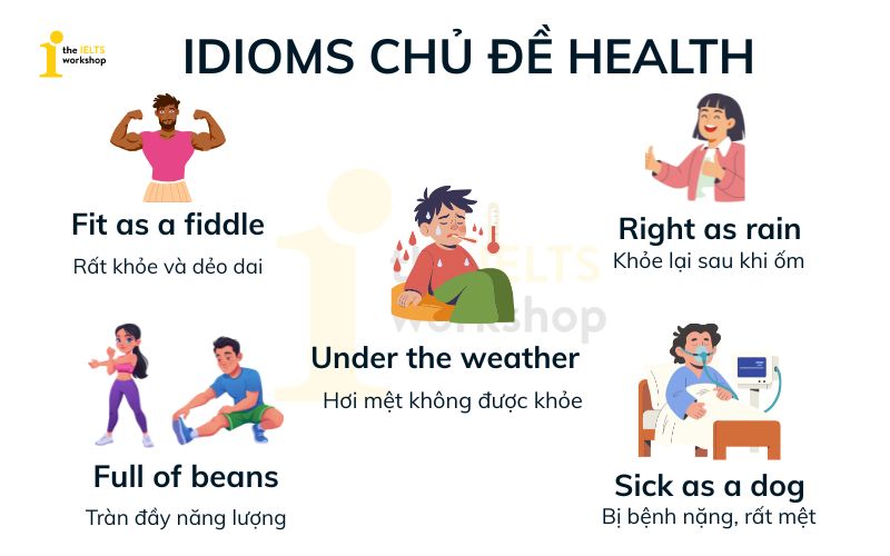Idioms chủ đề health