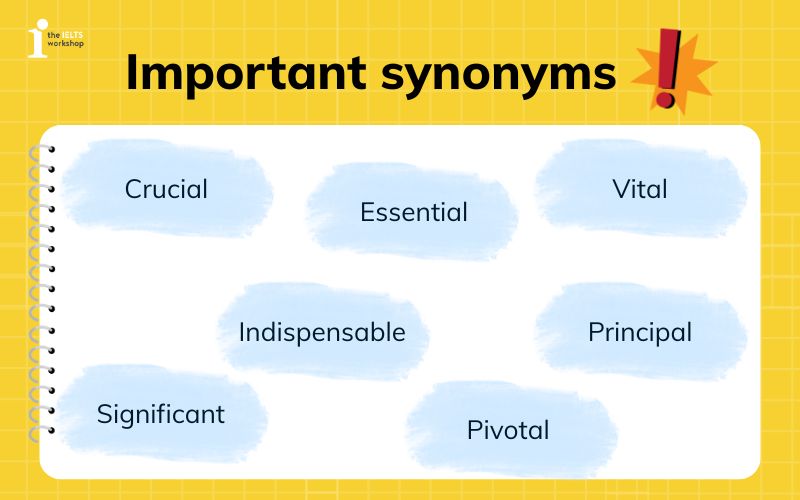 Important Synonym