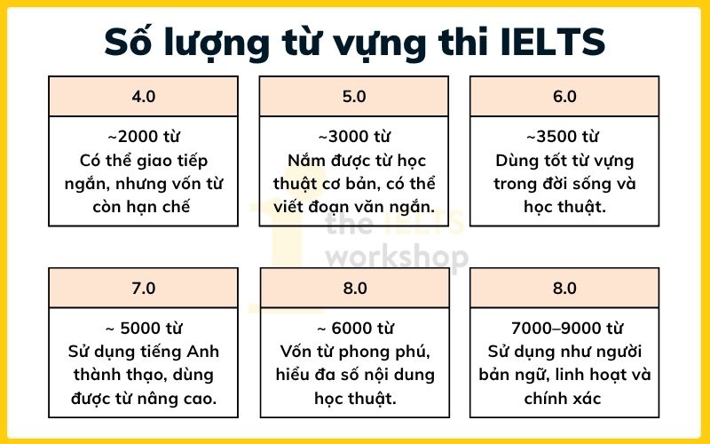 Cần bao nhiêu từ vựng để thi IELTS