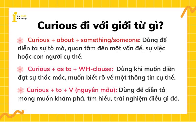Curious đi với giới từ gì?