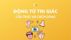 Động từ tri giác (Perception verbs): Cấu trúc và cách dùng