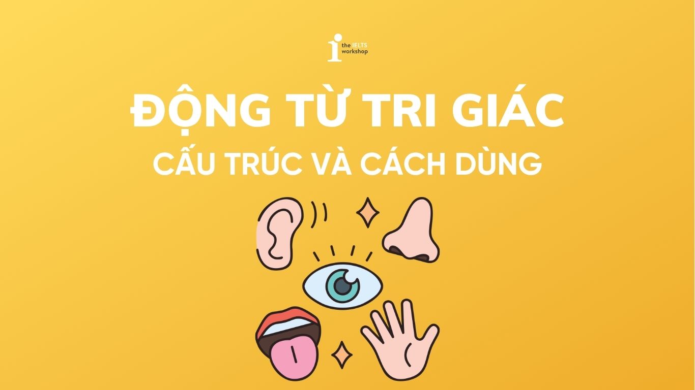 Động từ tri giác (Perception verbs): Cấu trúc và cách dùng