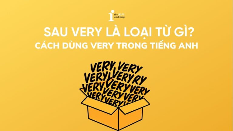 Sau very là loại từ gì