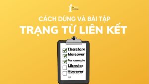 Trạng từ liên kết (Conjunctive Adverbs): Cách dùng và bài tập