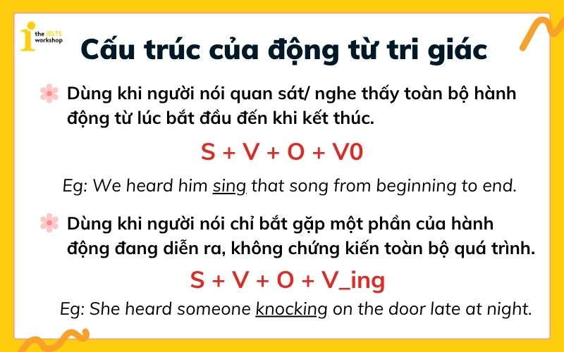 Cấu trúc động từ tri giác