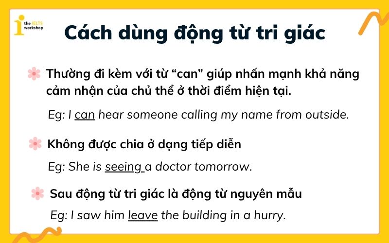 Cách dùng động từ tri giác