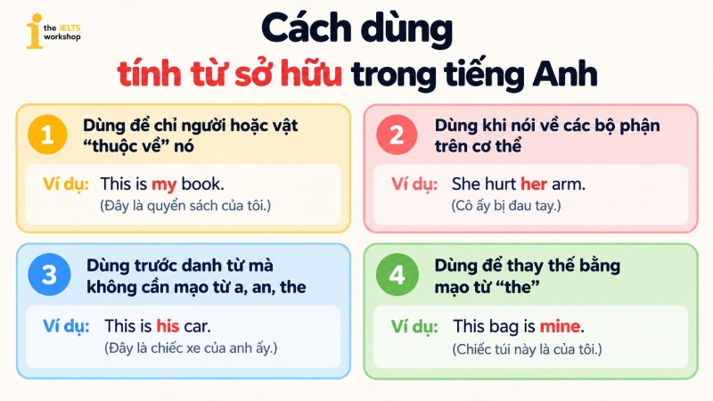 Cách dùng tính từ sở hữu trong tiếng Anh