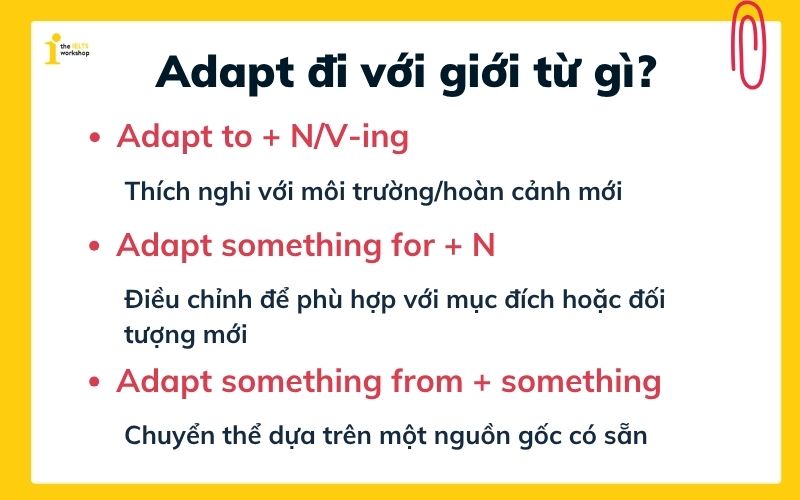 Adapt đi với giới từ gì? 