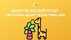 Adapt đi với giới từ gì? Cách dùng Adapt và phân biệt với Adopt