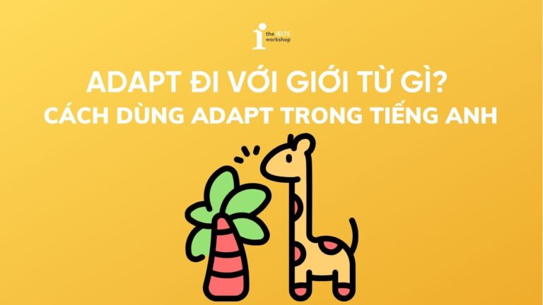 Adapt đi với giới từ gì