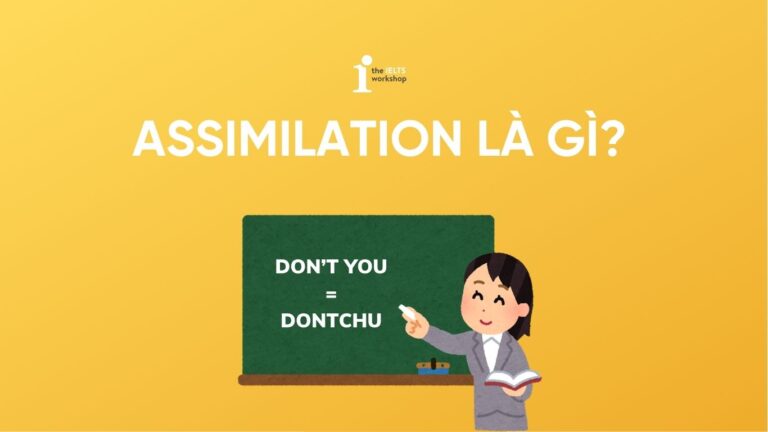 Assimilation là gì