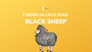 Black sheep là gì? Nguồn gốc và cách sử dụng trong tiếng Anh