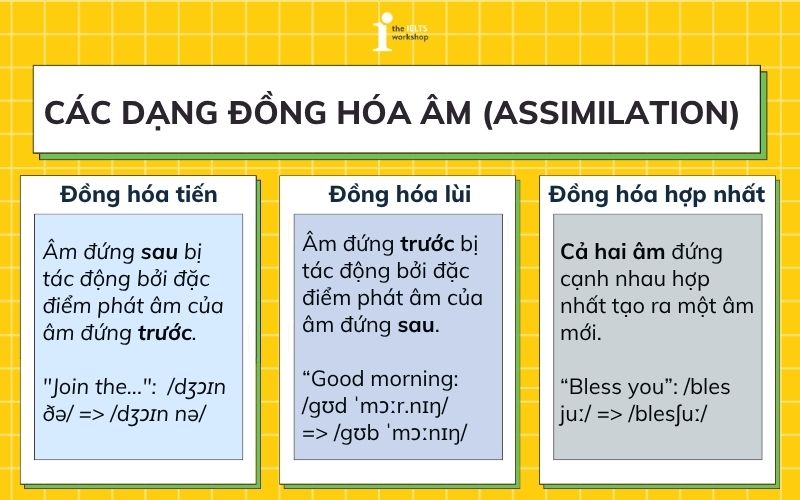 Các dạng đồng hóa âm (Assimilation) trong tiếng Anh
Assimilation là gì?