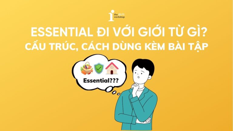Essential đi với giới từ gì