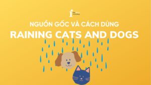Raining cats and dogs là gì? Ý nghĩa, nguồn gốc và cách dùng chi tiết
