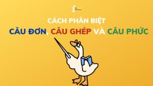 Phân biệt câu đơn câu ghép câu phức và áp dụng vào IELTS Reading
