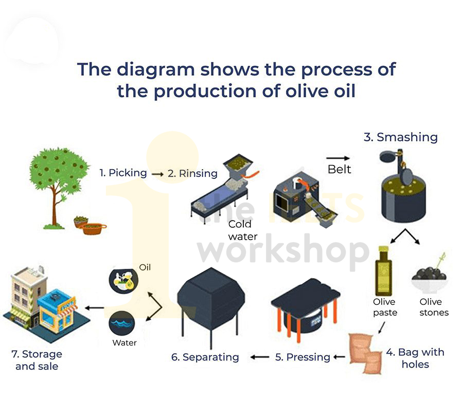 production of olive oil