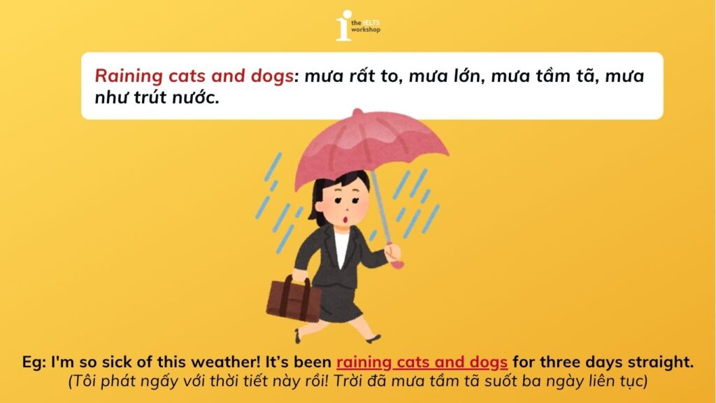 Raining cats and dogs là gì