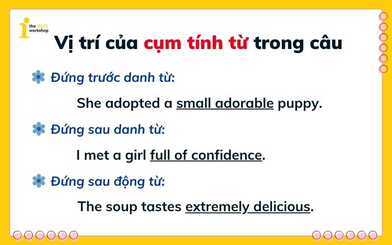 Vị trí của cụm tính từ trong câu
Cụm tính từ là gì? 