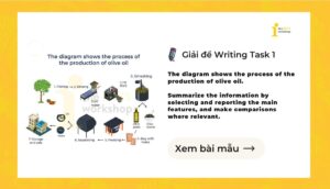 Giải IELTS Writing Task 1: The process of the production of olive oil