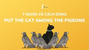 Put the cat among the pigeons là gì? Cách dùng tự nhiên