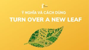 Turn over a new leaf là gì? Ý nghĩa và cách dùng trong tiếng Anh