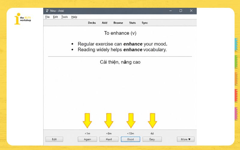 Đánh giá từ vựng trên app Anki