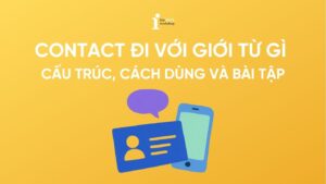 Contact đi với giới từ gì? Cấu trúc, cách dùng và bài tập