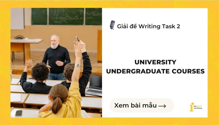 University undergraduate courses