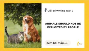 Giải đề IELTS Writing Task 2: Animals should not be exploited by people