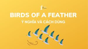Birds of a feather là gì? Ý nghĩa và cách dùng chuẩn bản xứ