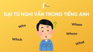 Đại từ nghi vấn trong tiếng Anh: Chức năng, vị trí và cách dùng
