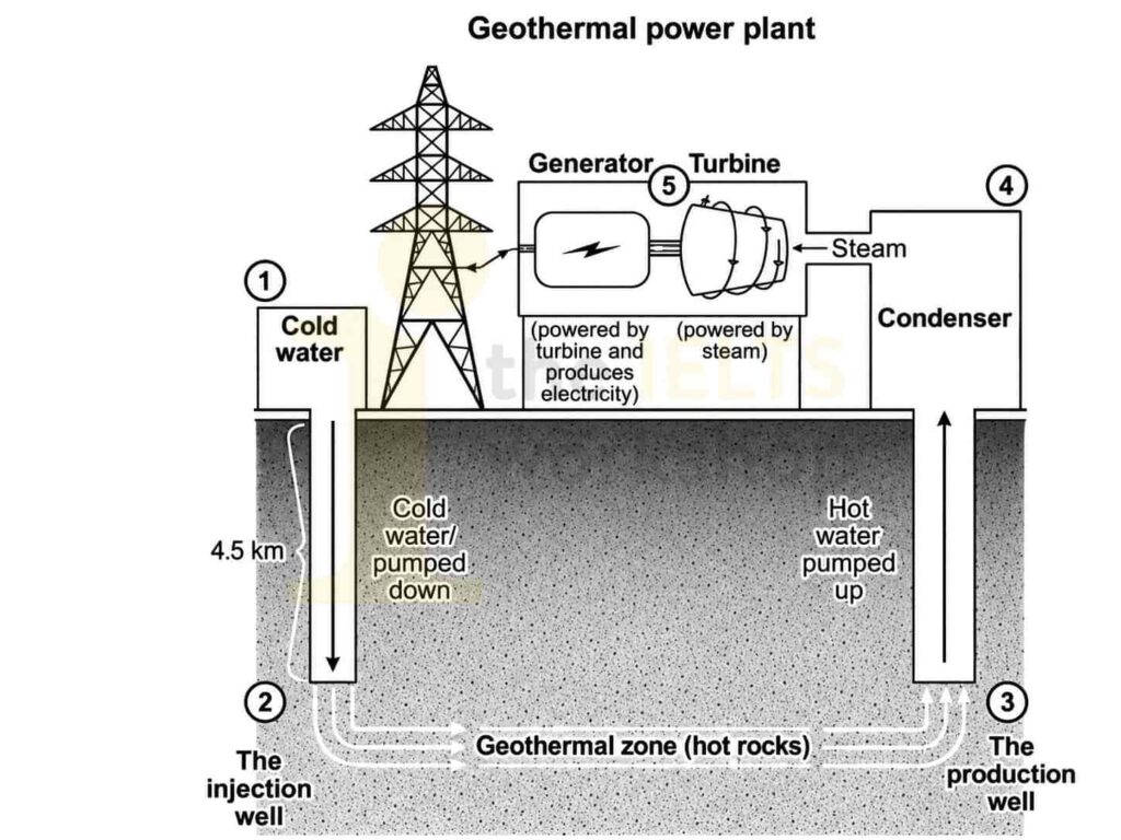 The diagram below shows how geothermal energy is used to produce electricity