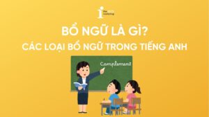 Bổ ngữ là gì? Các loại bổ ngữ trong tiếng Anh và bài tập vận dụng
