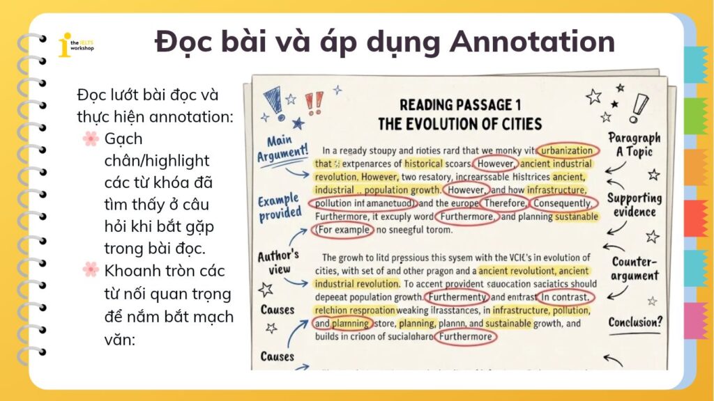 Cách áp dụng Annotation trong IELTS Reading