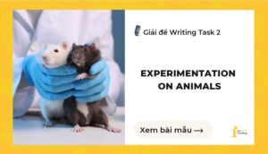 Giải đề IELTS Writing Task 2: All experimentation on animals is bad and should be outlawed